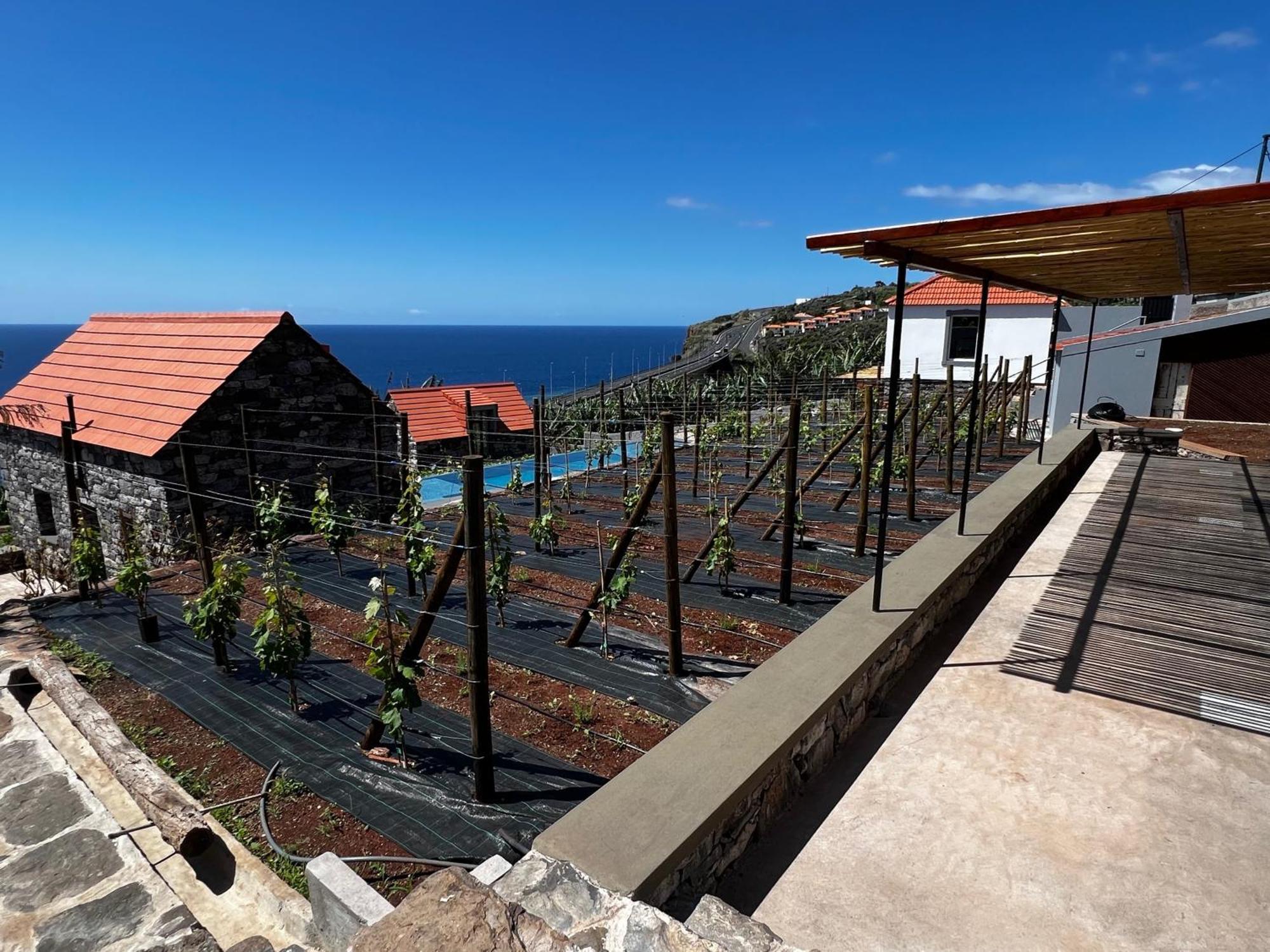Casas Do Laranjo- Cottages & Infinity Pool Gaula Exterior photo